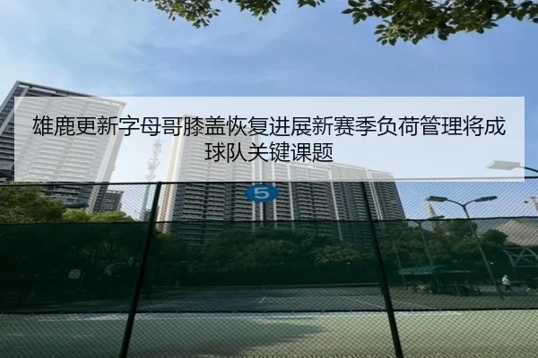 雄鹿更新字母哥膝盖恢复进展新赛季负荷管理将成球队关键课题